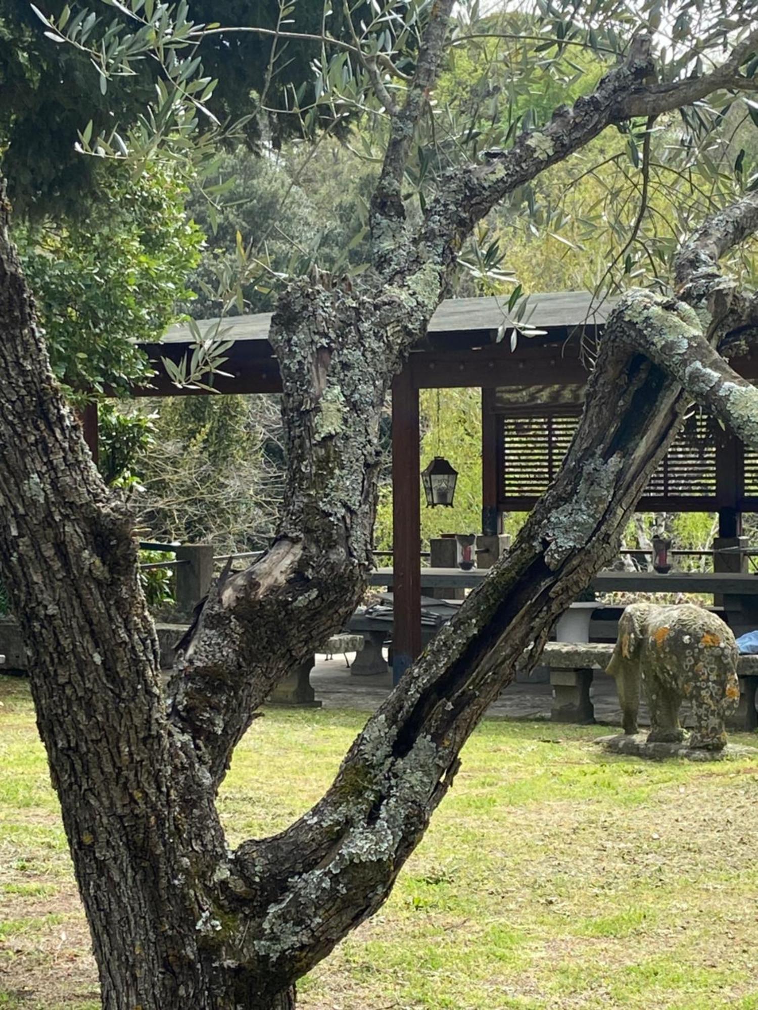 Villa Il Castelletto Della Palanzana *